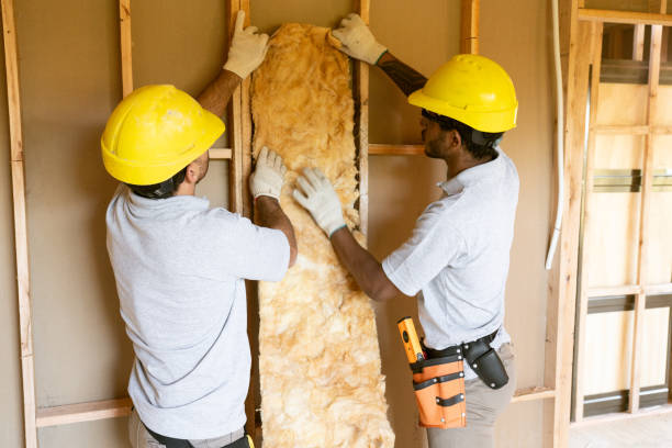 Professional Insulation in Mansfield, LA