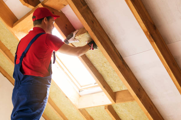 Types of Insulation We Offer in Mansfield, LA